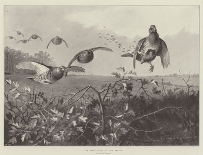 シーズンの最初のドライブ 作： Archibald Thorburn